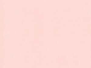 Romanesque – Pink Rose – A5 Card